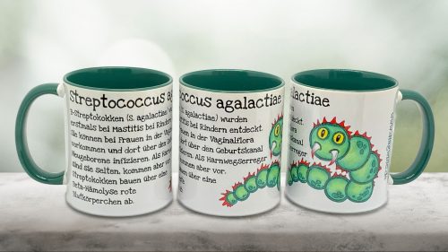 DIAG WISS Tasse Streptococcus agalactiae