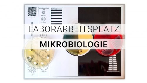DIAG WISS Laborarbeitsplatz Mikrobiologie