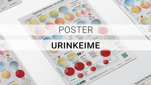 DIAG WISS Poster Urinkeime
